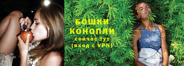 шишки Нефтегорск